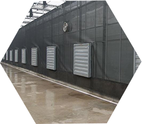 ���u�����L(f��ng)�C(j��)